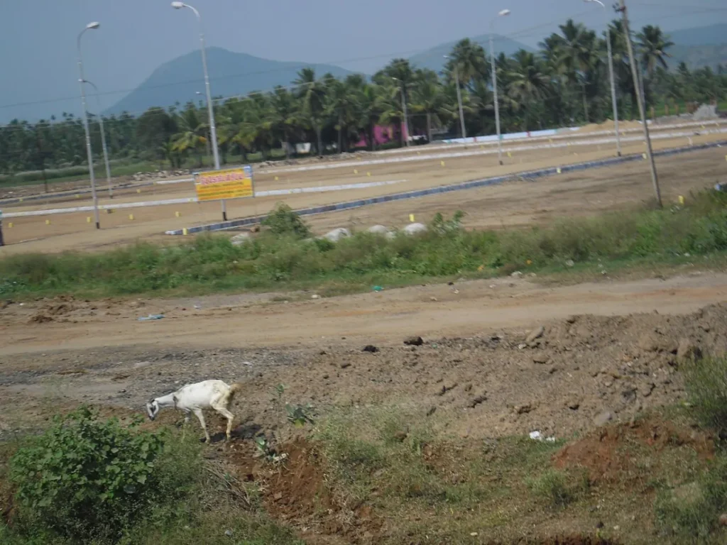 Plots for Sale in Salem: Where to Look and What to Check