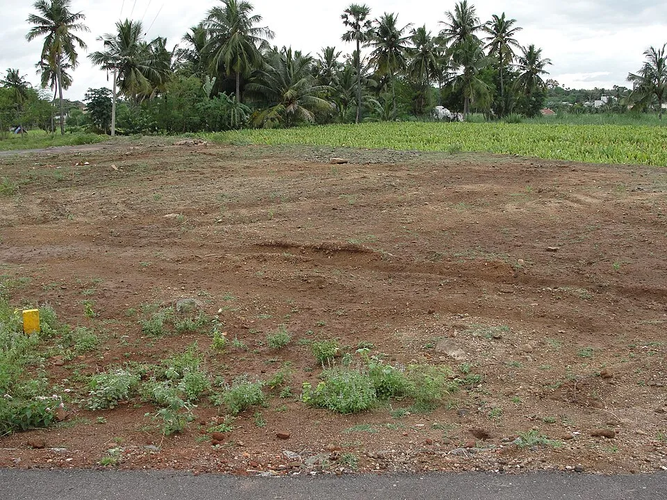 Open, dry vacant plot of land in Salem, Tamil Nadu