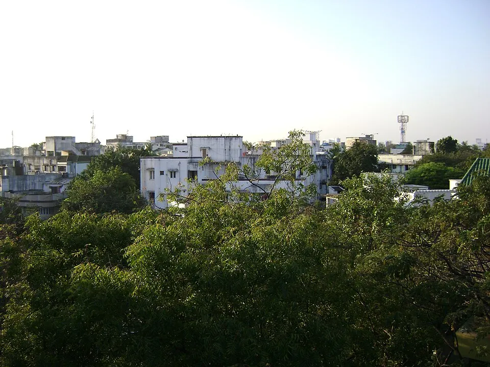 View over residential buildings and trees in Kodambakkam, Chennai